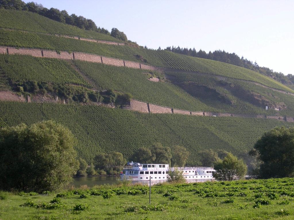 Juffer Flair Restaurant Gaestehaus Brauneberg Luaran gambar
